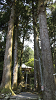 camp28 (149)_thumb.png
